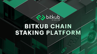 Bitkub-Chain-Staking-Platform-background